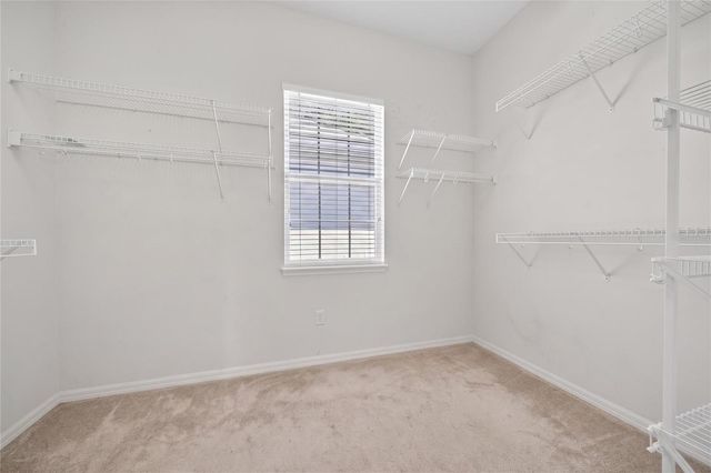 10206 SHADOW BRANCH DRIVE, Tampa, FL 33647