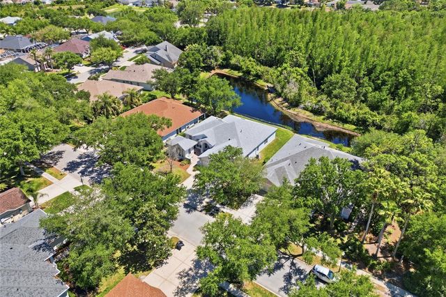 10206 SHADOW BRANCH DRIVE, Tampa, FL 33647