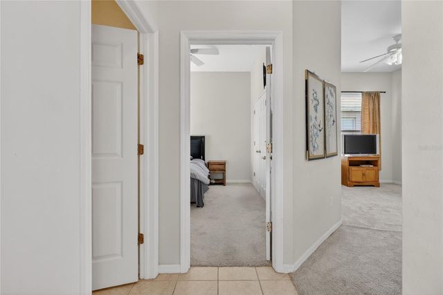 10206 SHADOW BRANCH DRIVE, Tampa, FL 33647