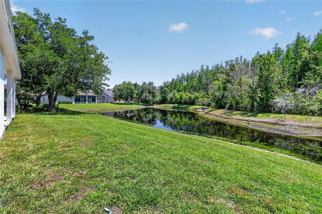 10206 SHADOW BRANCH DRIVE, Tampa, FL 33647