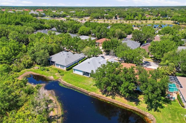 10206 SHADOW BRANCH DRIVE, Tampa, FL 33647