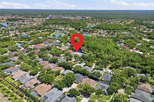 10206 SHADOW BRANCH DRIVE, Tampa, FL 33647