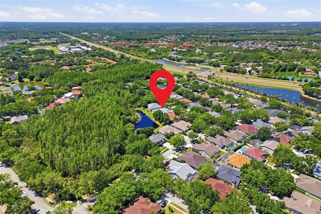 10206 SHADOW BRANCH DRIVE, Tampa, FL 33647