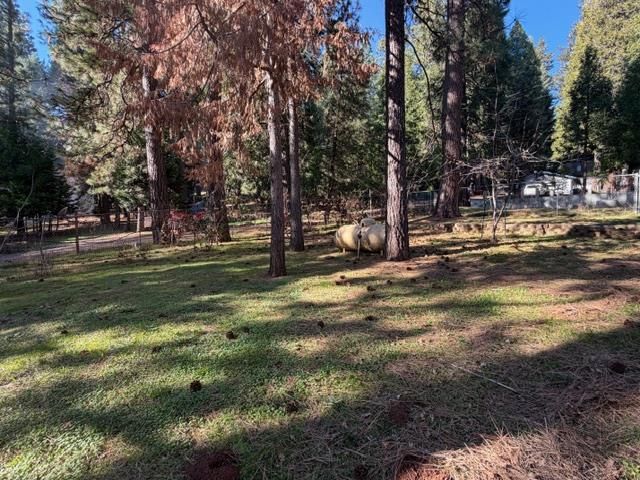 27076 Silver Dr, Pioneer, CA 95666