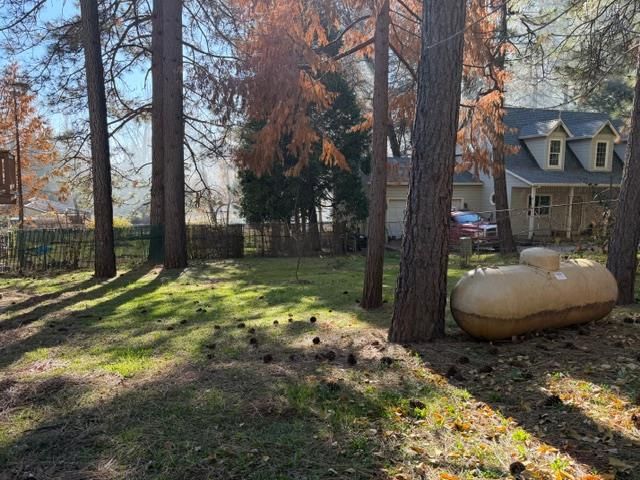 27076 Silver Dr, Pioneer, CA 95666