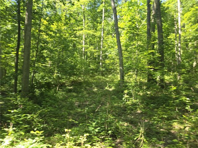 Whitcomb Road, Bath, NY 14879