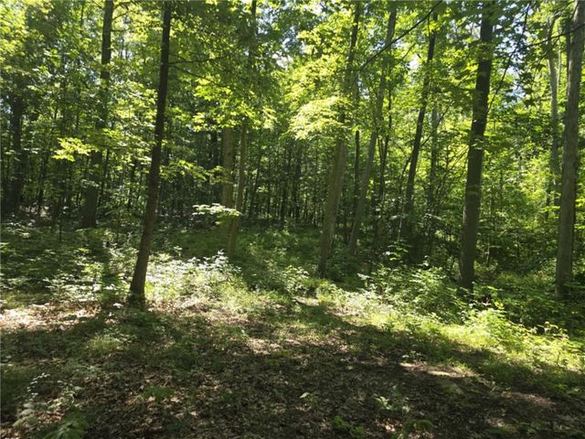 Whitcomb Road, Bath, NY 14879