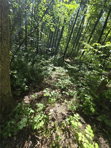 Whitcomb Road, Bath, NY 14879