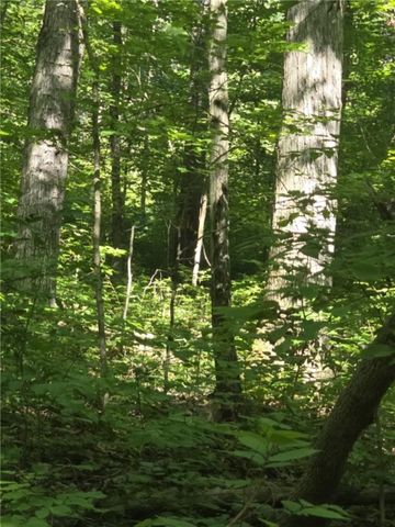 Whitcomb Road, Bath, NY 14879