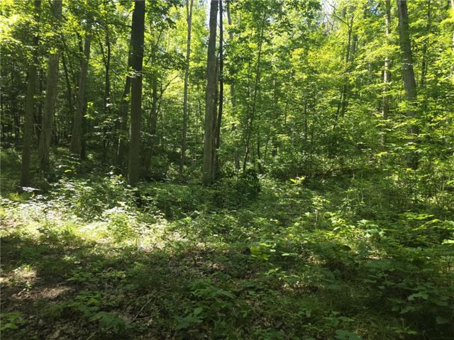 Whitcomb Road, Bath, NY 14879