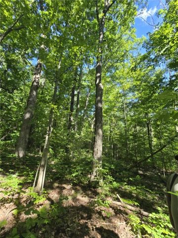 Whitcomb Road, Bath, NY 14879