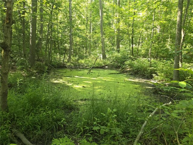 Whitcomb Road, Bath, NY 14879