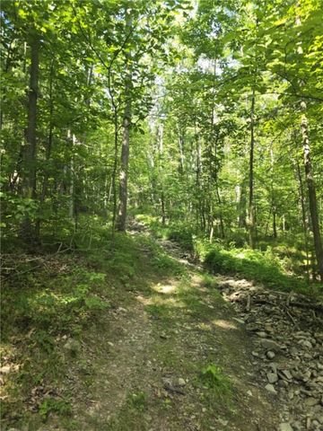 Whitcomb Road, Bath, NY 14879