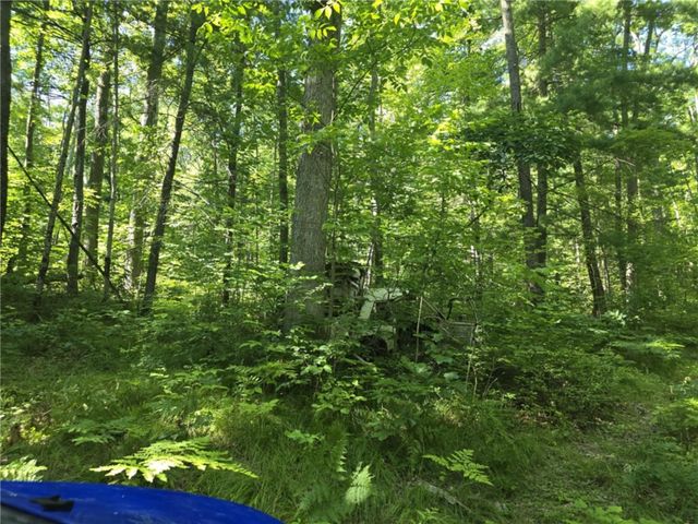 Whitcomb Road, Bath, NY 14879