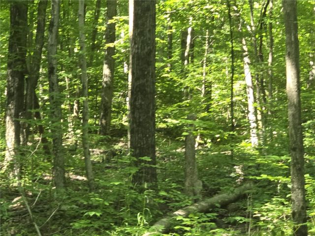 Whitcomb Road, Bath, NY 14879