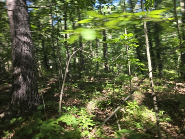 Whitcomb Road, Bath, NY 14879