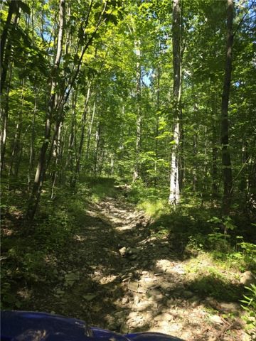 Whitcomb Road, Bath, NY 14879