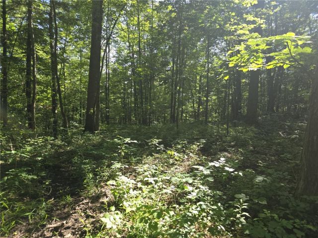 Whitcomb Road, Bath, NY 14879