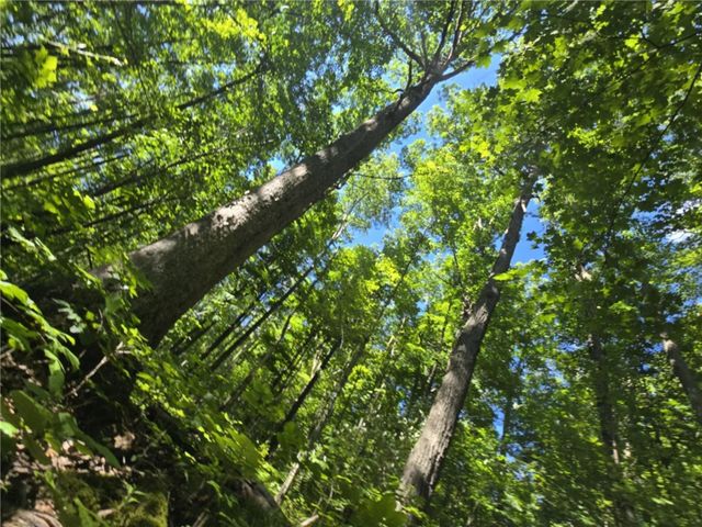 Whitcomb Road, Bath, NY 14879