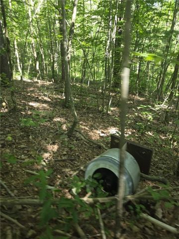 Whitcomb Road, Bath, NY 14879