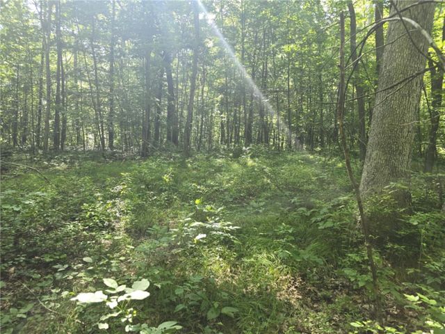 Whitcomb Road, Bath, NY 14879