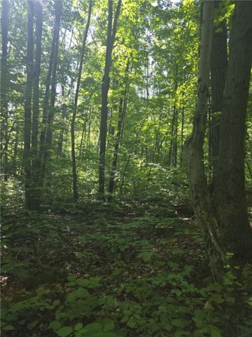 Whitcomb Road, Bath, NY 14879