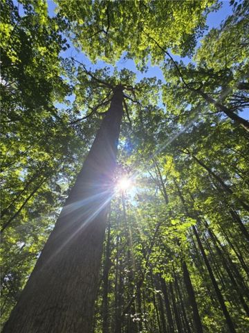 Whitcomb Road, Bath, NY 14879