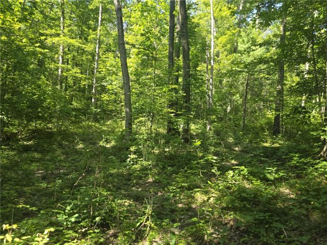 Whitcomb Road, Bath, NY 14879