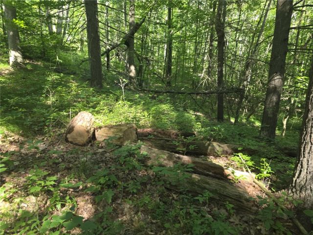 Whitcomb Road, Bath, NY 14879