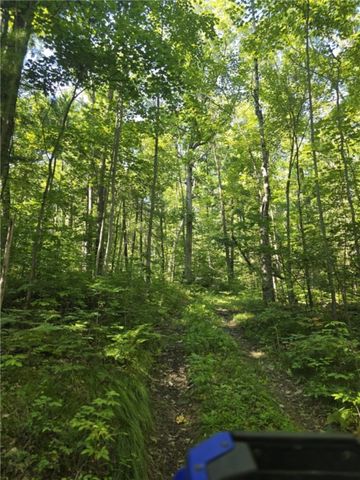 Whitcomb Road, Bath, NY 14879