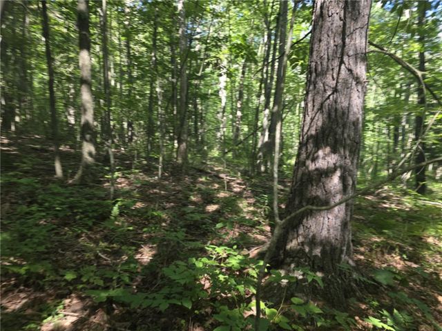 Whitcomb Road, Bath, NY 14879