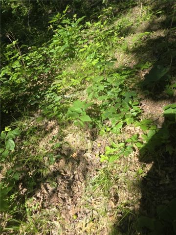 Whitcomb Road, Bath, NY 14879