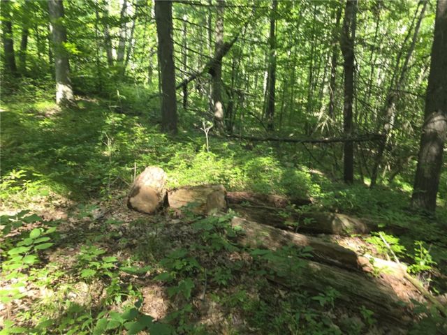 Whitcomb Road, Bath, NY 14879