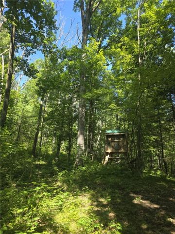 Whitcomb Road, Bath, NY 14879