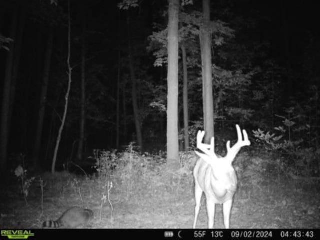 Whitcomb Road, Bath, NY 14879