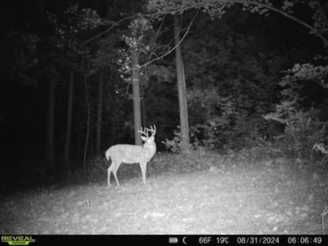 Whitcomb Road, Bath, NY 14879