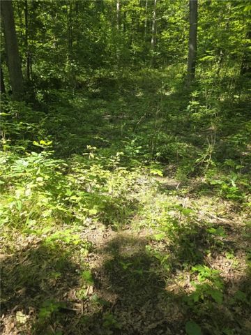 Whitcomb Road, Bath, NY 14879