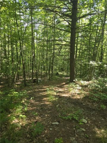 Whitcomb Road, Bath, NY 14879