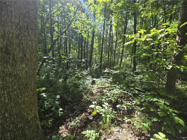 Whitcomb Road, Bath, NY 14879