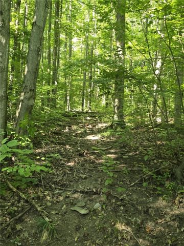 Whitcomb Road, Bath, NY 14879