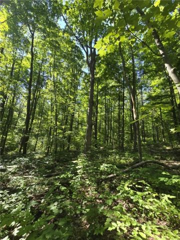 Whitcomb Road, Bath, NY 14879