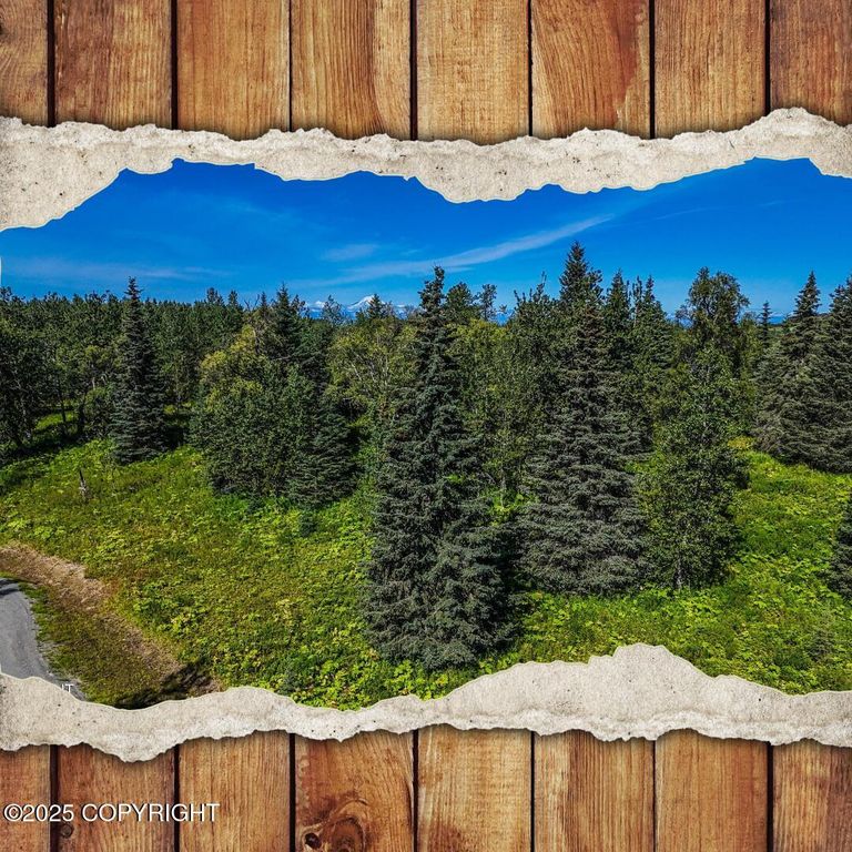15422 Tovarish Road, Ninilchik, AK 99639