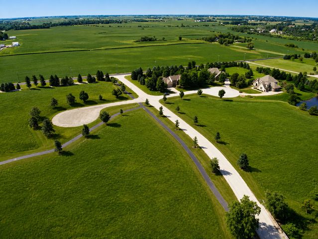 9655 W QUEENS Court, Monee, IL 60449