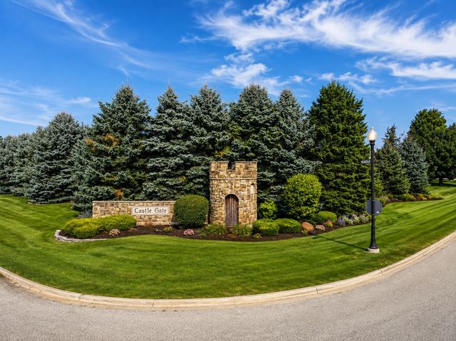 9655 W QUEENS Court, Monee, IL 60449
