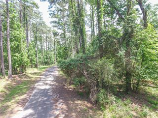 TBD S Grand Pine Circle, Livingston, TX 77351