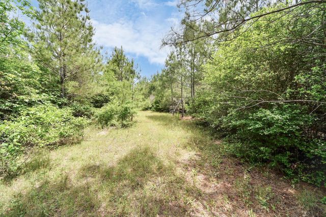 15522 Wood Grove Way, Willis, TX 77378