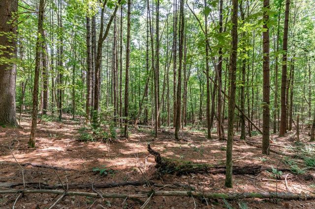 Lot 15 Rocking Chair Ridge, Mineral Bluff, GA 30559