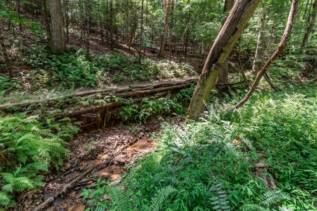 Lot 15 Rocking Chair Ridge, Mineral Bluff, GA 30559