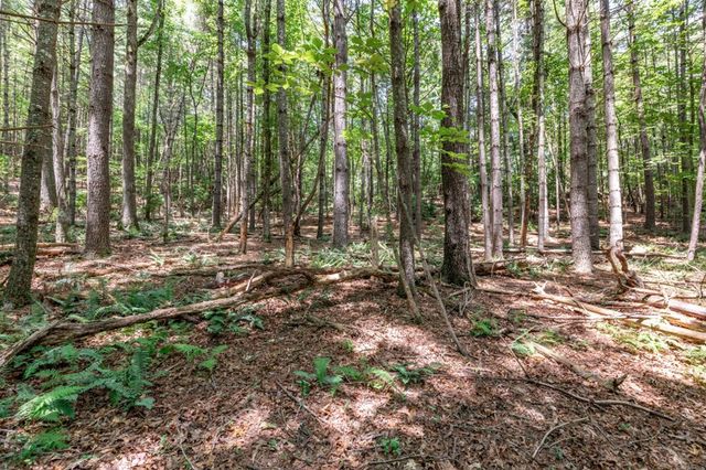 Lot 15 Rocking Chair Ridge, Mineral Bluff, GA 30559