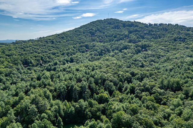 Lot 15 Rocking Chair Ridge, Mineral Bluff, GA 30559